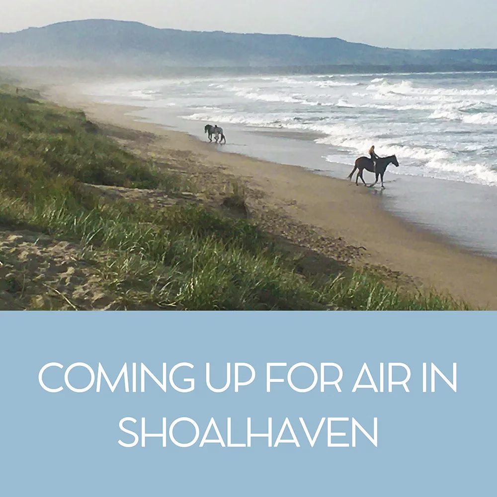 The view over Seven mile beach in the Shoalhaven near Berry.
