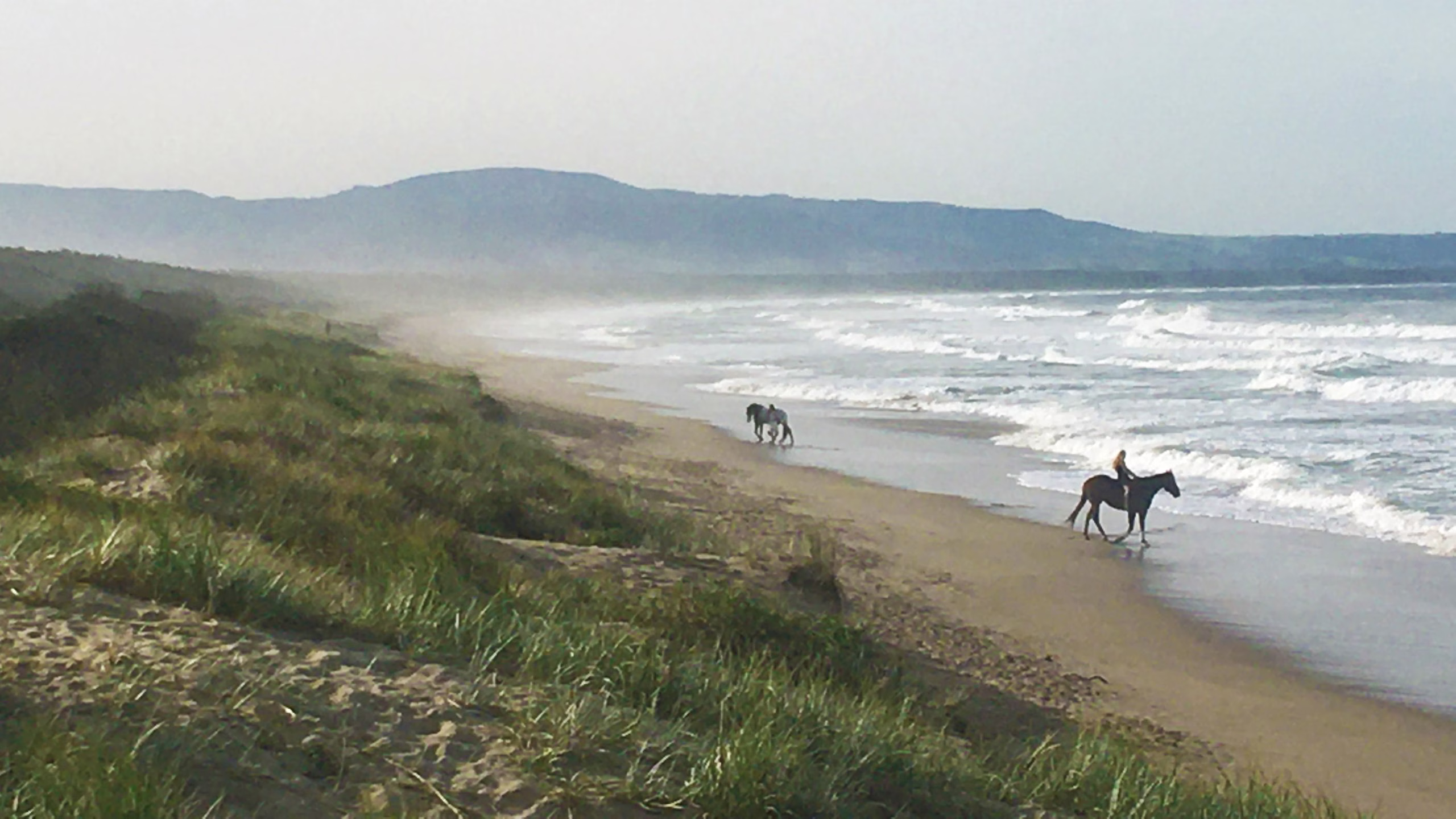 Shoalhaven  the perfect midweek escape from Sydney