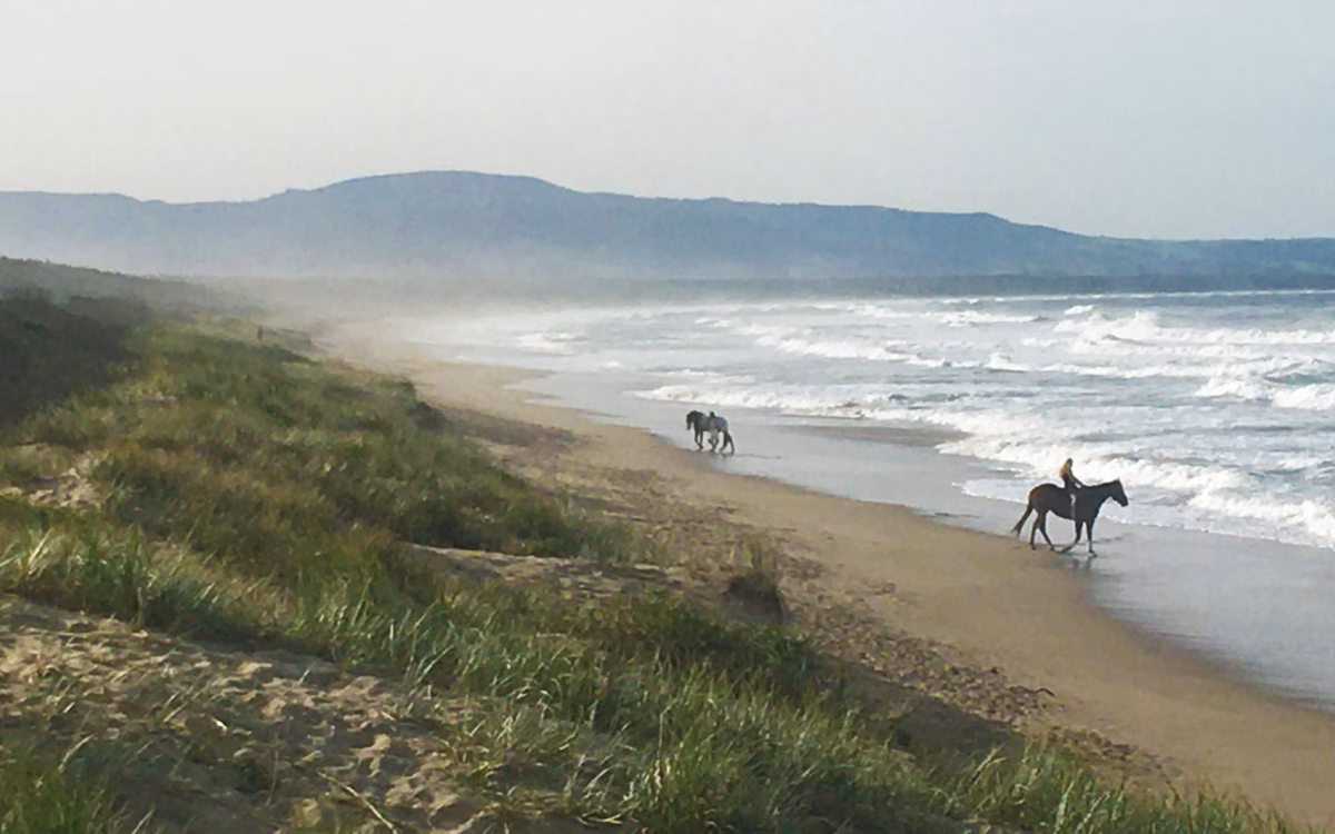 Shoalhaven  the perfect midweek escape from Sydney